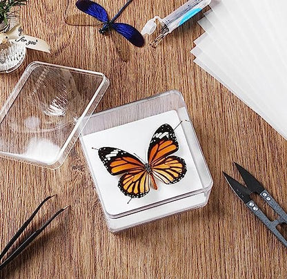 Making Insect Specimen Tools Kit, Insect Pins,Insect Pinning Board, Wings Pressing Paper,Tweezers, Scissors, Insect Display Case, Insect Collection for Bug Hobbyist/Biology Projects - size: Display Case Box Kit