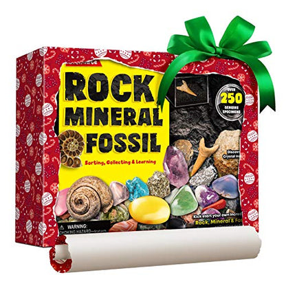 Rocks Minerals Fossils Science Kit-250+ Real Gems, Display Case, Kids Gift - style: 250 Pieces+