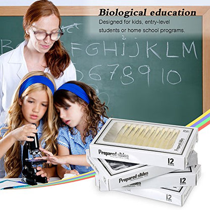 Prepared Plastic Microscope Slides with Specimens for Kids, Microscope Sample Slides Full Range of Animal/Plant/Insect/Blood Biology Slides Gift Set for Kids Microscope (60PCS) - color: 60PCS