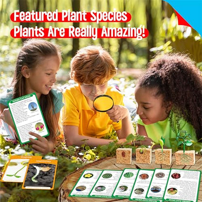 15 Plant Life Circle Flashcards with 4 Plastic Figurines-Seed to Plant, Plants Introduction Card Plants Growth Details for Nature Lovers & Adults, Montessori Toy for Kids - style: Plant