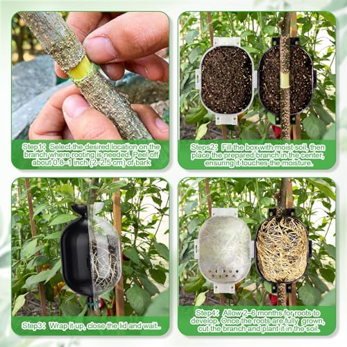 AceOrbit 20 Pack Air Layering Propagation Kit with Drain Holes