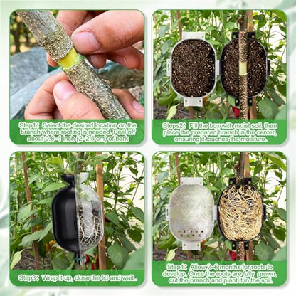 AceOrbit 20 Pack Air Layering Propagation Kit with Drain Holes