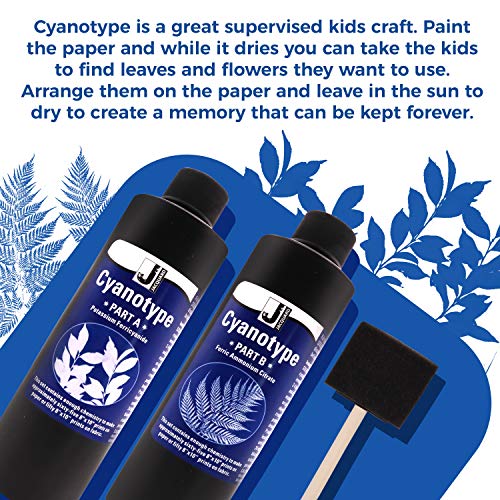 Jacquard Cyanotype Kit Sun Printing for Paper & Fabric Bundled Sponge Brush