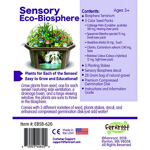 Grow Your Own Sensory Eco-Biosphere Terrarium - Kit is Easy to Grow & Educational - Includes 5 Different Seeds - One for Each Sense!