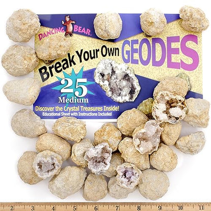 DANCING BEAR 25 Break Your Own Geodes, (Medium 1-1.5") 90% Hollow, Crack Open & Discover Amazing Surprise Crystals Inside! Educational Info and Instructions Included, Fun Party Favors & Prizes - style: Medium (1-1.5")