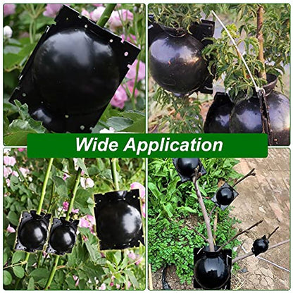 30 Pcs Air Layering Pods, 2 Inch Reusable Plant Root Boxes, PP