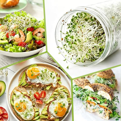 Sprouting Jar Kit, 2 Wide Mouth Sprouting Jar with Stainless Steel Screen Sprout Lids, Blackout Sleeves, Drain Cover, Sprouts Growing Kit for Broccoli, Mung Beans, Alfalfa & Microgreens