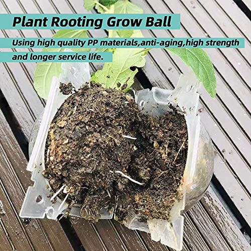 Air Layering pods, Reusable Plant Rooting Device Plant Rooting Grow Box High Pressure Propagation Ball Grafting Device Botany Root Controller Garden Plant Rooter Box (2″×6PCS), Transparent - color: Transparent, size: Small（2″×6PCS）