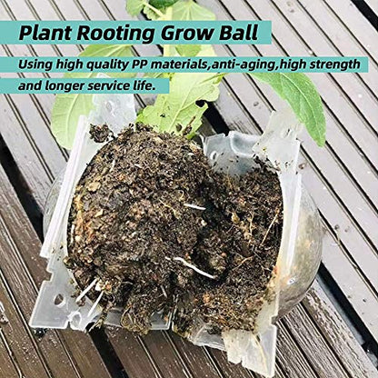 Air Layering pods, Reusable Plant Rooting Device Plant Rooting Grow Box High Pressure Propagation Ball Grafting Device Botany Root Controller Garden Plant Rooter Box (2″×6PCS), Transparent - color: Transparent, size: Small（2″×6PCS）