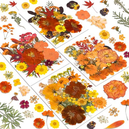 Dried Flowers, Resiners 100Pcs Fall Pressed Flowers for Craft Real Natural Dried Flowers Dry Leaves Kit for DIY Making Crafts Resin Soap Candle Scrapbook Supplies Card Making Jewelry - color: Fall Color 100pcs