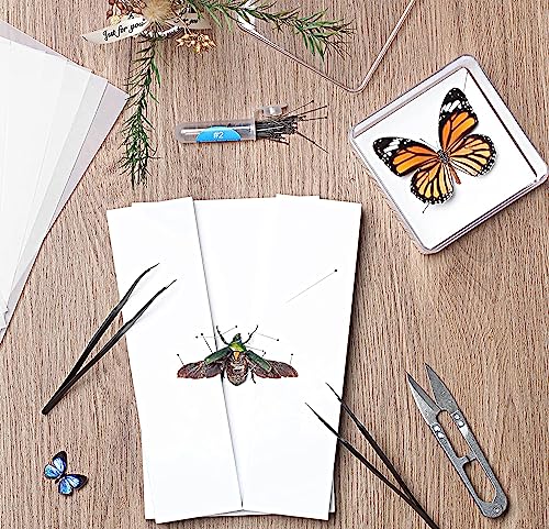 Making Insect Specimen Tools Kit, Insect Pins,Insect Pinning Board, Wings Pressing Paper,Tweezers, Scissors, Insect Display Case, Insect Collection for Bug Hobbyist/Biology Projects - size: Display Case Box Kit
