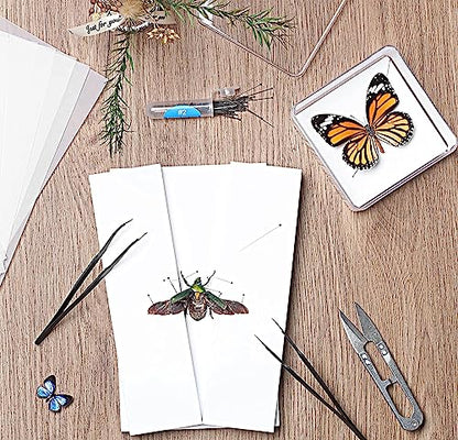 Making Insect Specimen Tools Kit, Insect Pins,Insect Pinning Board, Wings Pressing Paper,Tweezers, Scissors, Insect Display Case, Insect Collection for Bug Hobbyist/Biology Projects - size: Display Case Box Kit