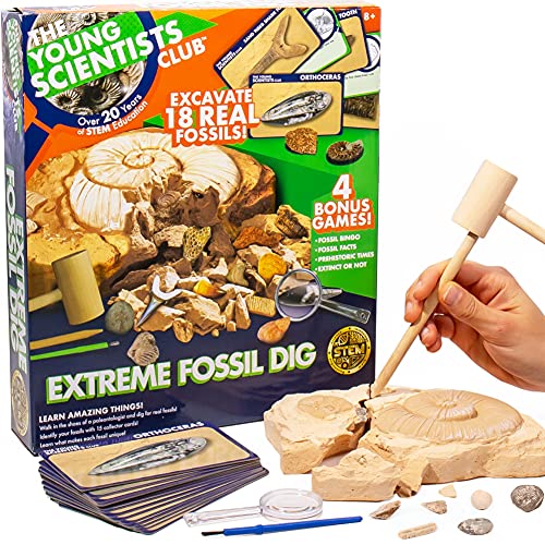 The Young Scientists Club Exploring Fossils, at-Home STEM Kits for Kids Age 8 and Up, Fossil Kits for Young Scientists, Dinosaur Experiments, Kids Dinosaur Parties