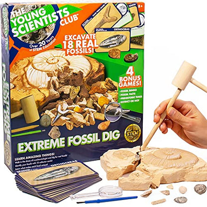 The Young Scientists Club Exploring Fossils, at-Home STEM Kits for Kids Age 8 and Up, Fossil Kits for Young Scientists, Dinosaur Experiments, Kids Dinosaur Parties