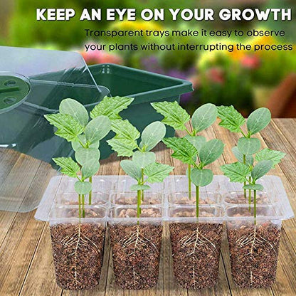 12 Hole Seedling Box with Ventilation Hole Breathable Adjustable Mini Greenhouse Gardening Plant Seedling Box,19x14.5x11cm (Green) - color: Green