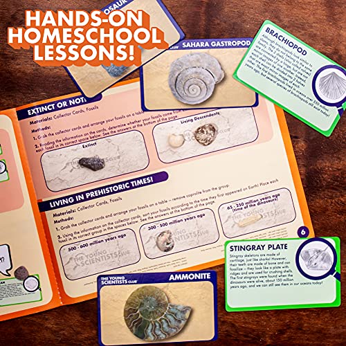The Young Scientists Club Exploring Fossils, at-Home STEM Kits for Kids Age 8 and Up, Fossil Kits for Young Scientists, Dinosaur Experiments, Kids Dinosaur Parties
