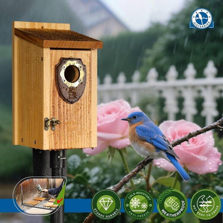 SISTERBIRD 2 Pack Bird House, Premium Bird Houses for Outside Warming Gifts - color: Medium-roast coffee color -- 2PK