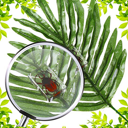 12 Pcs Insect Specimens for Kids Bug Collection Kit, Ladybug - style: Ladybug