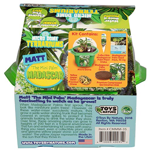 Toys By Nature Character Micro Domes Palm Plant Terrarium Starter Kit, Decorative and Easy-to-Grow Mini Terrariums with Complete Supplies and Genuine Jasper Stone! (Matt The Madagascar Mini Palm)
