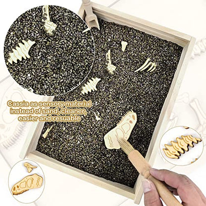 Dinosaur Excavation Archaeology Dig Kit for Kids, Fossil Sensory Bin Toys - style: Tyrannosaurus