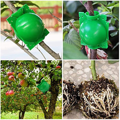 Air layering pods, Reusable Plant Rooting Device Plant Rooting Grow Box High Pressure Propagation Ball Grafting Device Botany Root Controller Garden Plant Rooter Box (Medium(3.1″×6PCS),Green) - color: Green, size: Medium（3.1″×6PCS）