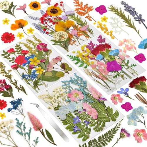 Dried Flowers 72pcs Natural Pressed Flowers and Leaves - size: 72 pcs Colorful Dried Flowers