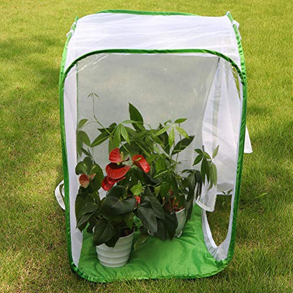 RESTCLOUD 36" Large Monarch Butterfly Habitat, Giant Collapsible Insect Mesh Cage Terrarium Pop-up 24 x 24 x 36 Inches - color: White with Green