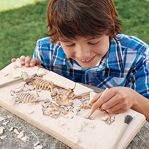 MindWare Dig It up Tyrannosaurus Rex Fossil Excavation Kit – Dinosaur Stem Toy for Kids – Includes Fossil Block, Hammer, Chisels, Brush, & Sponge