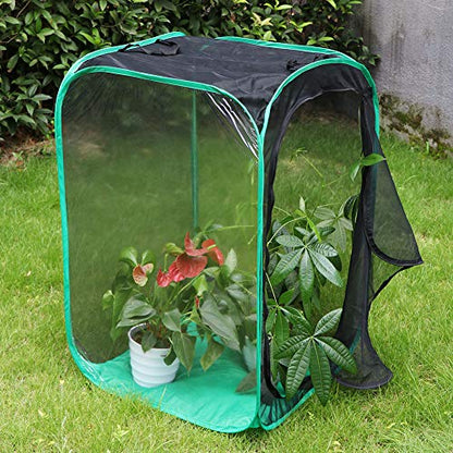 RESTCLOUD 36" Large Monarch Butterfly Habitat, Giant Collapsible Insect Mesh Cage Terrarium Pop-up 24 x 24 x 36 Inches - color: Black with Green