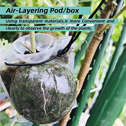 Air Layering pods, Reusable Plant Rooting Device Plant Rooting Grow Box High Pressure Propagation Ball Grafting Device Botany Root Controller Garden Plant Rooter Box (2″×6PCS), Transparent - color: Transparent, size: Small（2″×6PCS）
