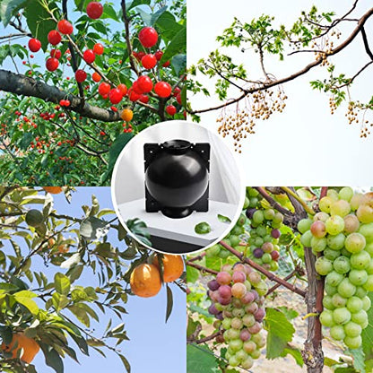 Tree Root Growing Box – Air Layering Propagation Pods for Woody Plants, Reusable Transparent Rooting Device for Magnolia, Fig, Citrus & Roses (10pcs Small, 3–9mm Branches) - color: Black-s-10pack