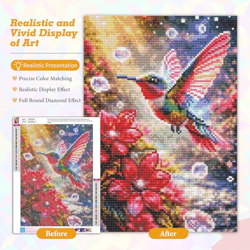 Hummingbird Diamond Art Kits for Adults Beginners 12x16 in, DIY Craft Gift - color: DP-US02