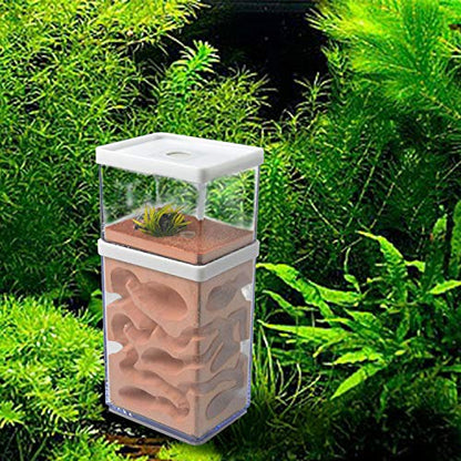 2-Tier Plaster Ant Farm Formicarium Transparent Ant Nest Habitat