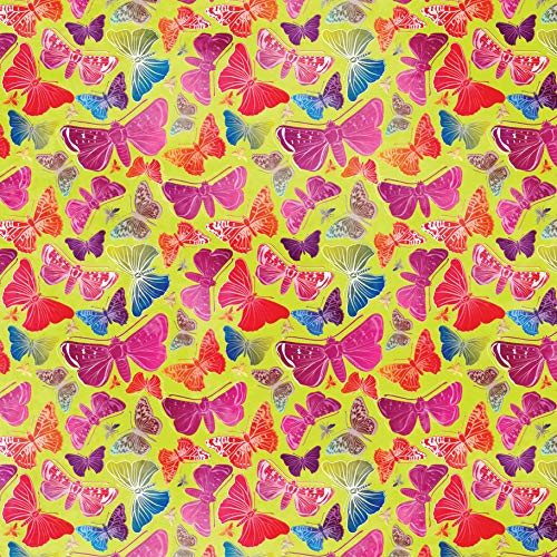 Origami Butterflies Kit: The LaFosse Butterfly Design System - Kit Includes 2 Origami Books, 12 Projects, 98 Origami Papers: Great for Both Kids and Adults