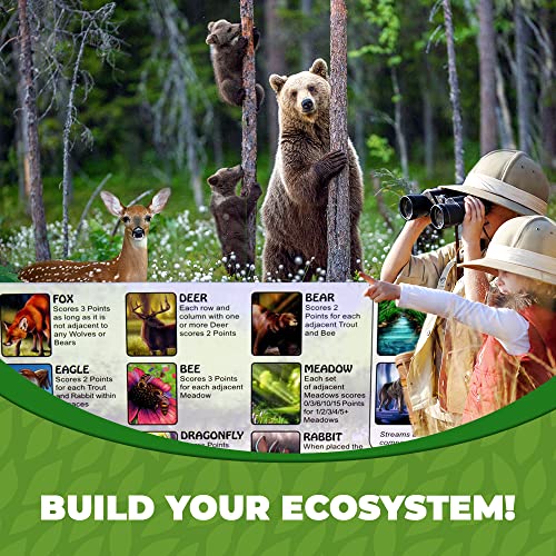 Ecosystem - A Family Card Game about Building Habitats | Learn about Animals, Ecology & Biodiversity for Kids, Adults, Families or the classroom! Fun Board Games for Environmental Science Class - style: Ecosystem