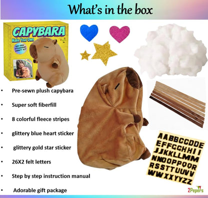 DIY Capybara Toy Plushie Craft Kit, No-Sew Stuffed Animal Kids Art Age 3-8 - style: CAPYBARA