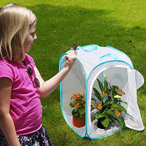 RESTCLOUD Insect and Butterfly Habitat Cage Pop-up 24 Inches Tall - color: White With Blue, size: 15.7 x 15.7 x 23.6 inches