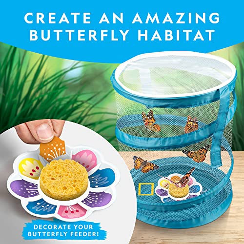 National Geographic Butterfly Growing and Bug Catcher Kit for Kids - style: Butterfly Habitat & Bug Catcher Kit