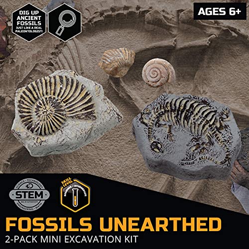 Discovery #MINDBLOWN Mini Fossil Dig Set, 2 Pack Excavation Kit, Interactive Archaeology Paleontology Experiment, Learn Science, Fun and Educational STEM Toy for Kids Ages 6 and Up