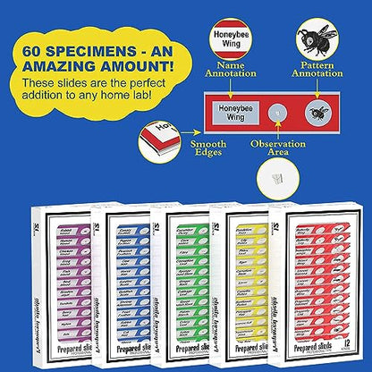 Jiusion 60Pcs Prepared Microscope Slides Specimen Set for Stereo Microscope - size: 60Pcs