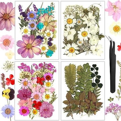 Dried Flowers, Resiners 100Pcs Pressed Flowers for Craft - color: Blossom 100pcs