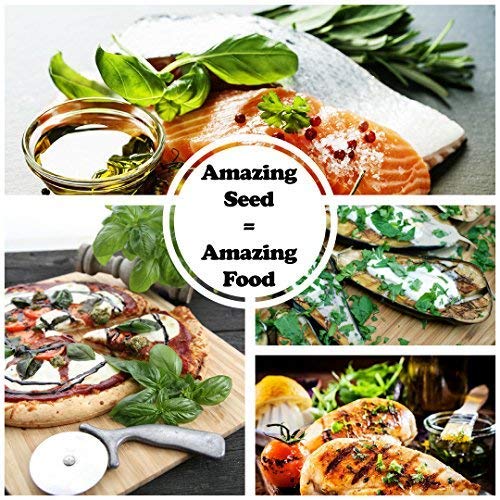 Sustainable Seed Co Culinary Herb Seeds Variety Pack – 10 Non-GMO