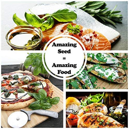Sustainable Seed Co Culinary Herb Seeds Variety Pack – 10 Non-GMO
