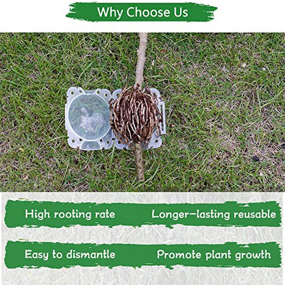 Supking 8 Pcs Air Layering Pods Plant Rooting Grow Propagation Ball Small Transparent Assisted Cutting Rooting Grafting Device Root Box for Plants - size: Small