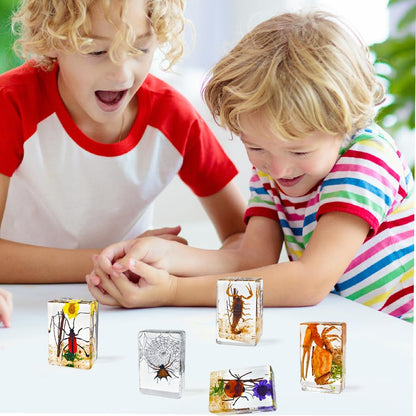 12 Pcs Insect Taxidermy in Resin, Interesting Microlandscape Insect Specimen Set for Back-to-School Gifts Oddities Bug Collection Paperweights Science Education Supplies