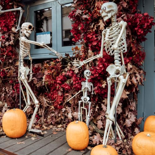 2Set Halloween Metal Skeleton Stand, Black, 9.84 Ft/ 3 M, Classic - color: Black, style: Classic