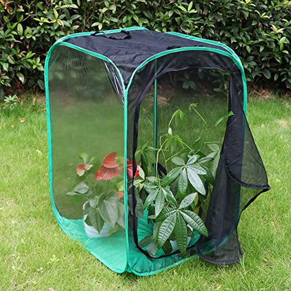 RESTCLOUD 36" Large Monarch Butterfly Habitat, Giant Collapsible Insect Mesh Cage Terrarium Pop-up 24 x 24 x 36 Inches - color: Black with Green