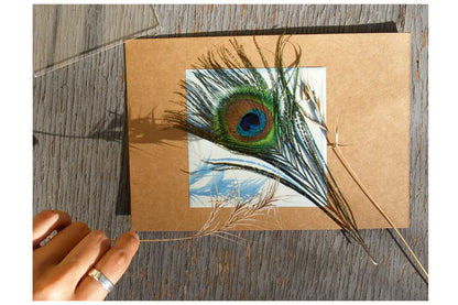4" x 4" Sunprint Kit
