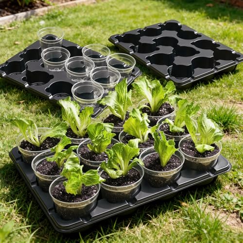 homenote 4 Inch Seed Starter Trays 2 Pack with Humidity Dome - size: 4 Inch, style: 2 Pack Tray+Nursery Pots+Humidity Dome