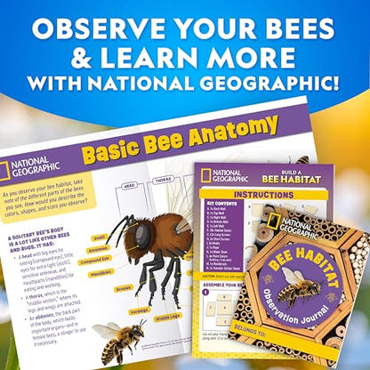 National Geographic Build a Bee Habitat Nature Craft Kit for Kids - style: DIY Bee Habitat